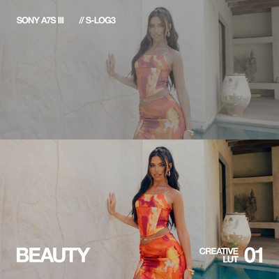 Sony S-Log3 Creative LUTs